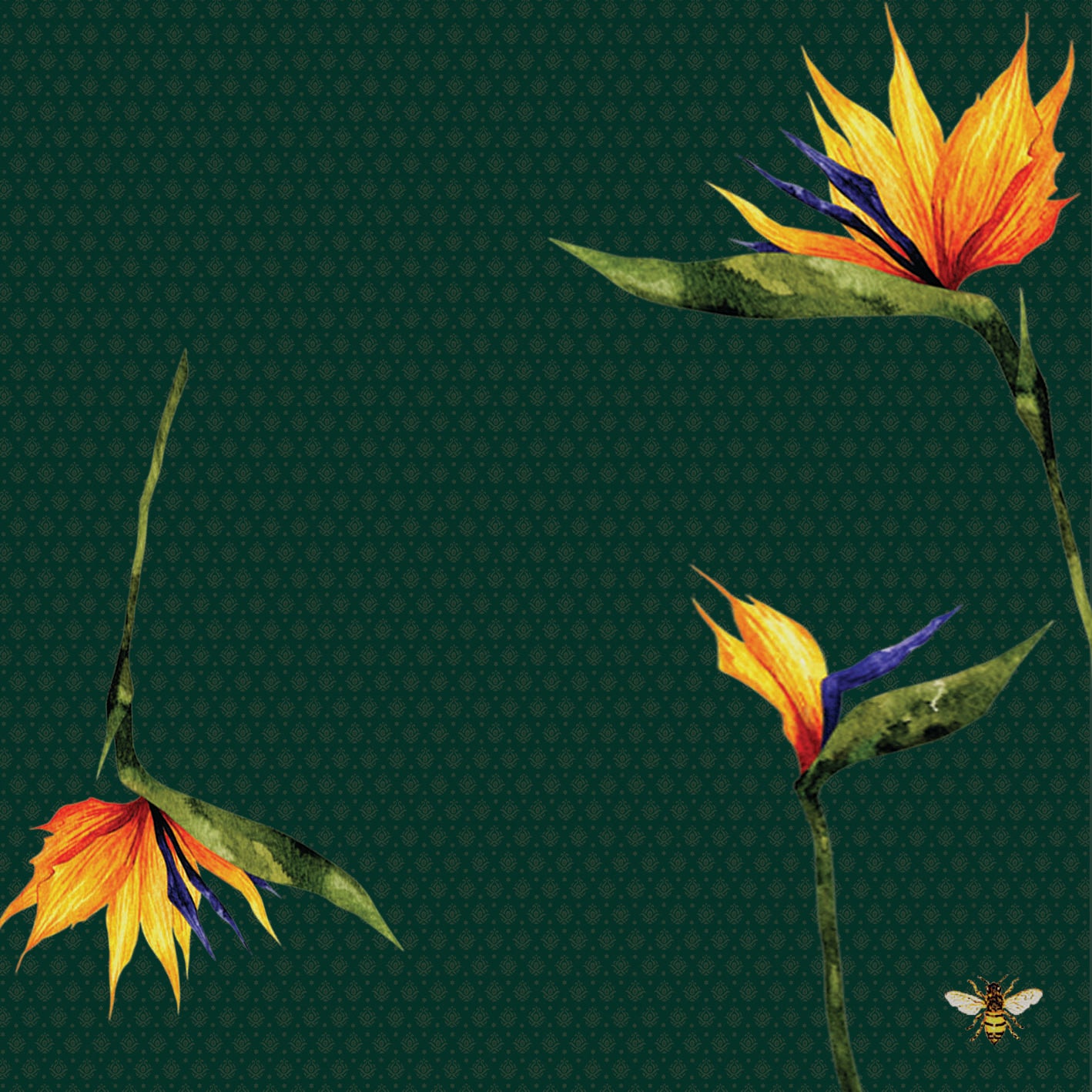 Guardanapo Verde Musgo - 2 Peças